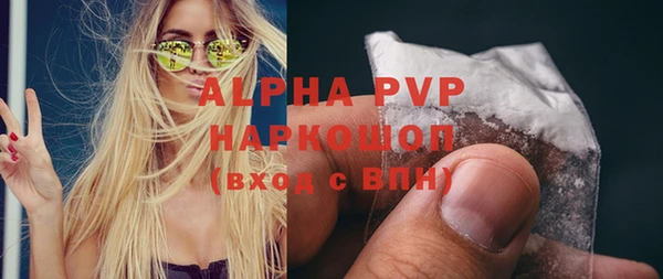 ГАЛЛЮЦИНОГЕННЫЕ ГРИБЫ Каменка