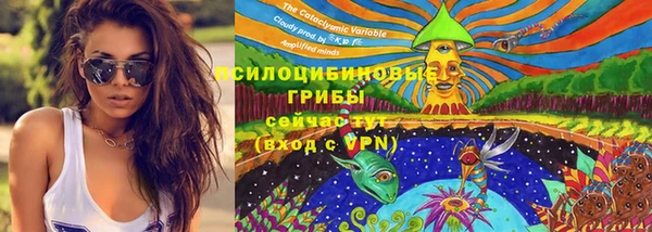 мдма Киреевск
