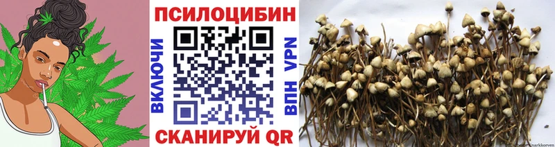 дарк нет клад  Макушино  Галлюциногенные грибы мухоморы 
